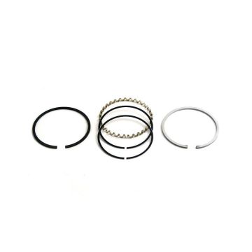 Piston Ring Set for International 539372R1
