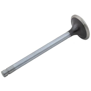 Intake Valve for International 675574C2