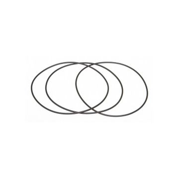 International DT429 Diesel Liner Sealing Ring Kit, 684938