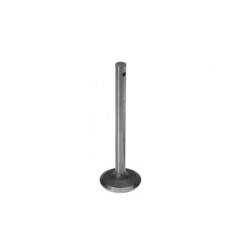 Exhaust Valve for Massey Ferguson, Continental 1751518M1
