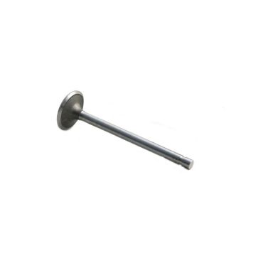 Intake Valve for Continental F600I302