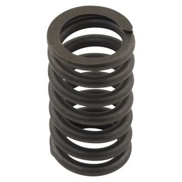 Valve Spring for Continental FO600I310
