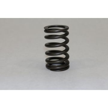 Intake & Exhaust Valve Spring for Cummins 4936080