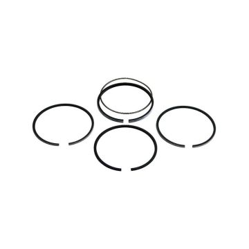 Piston Ring Set for Ford, New Holland 161118