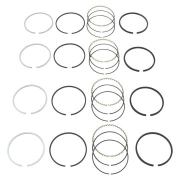 Piston Ring Set for Ford 161361