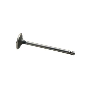 Intake Valve for Ford, New Holland 383907