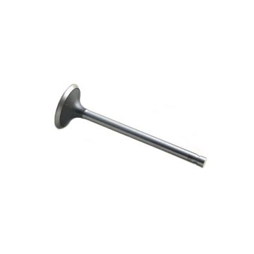 Intake Valve for Ford 461124