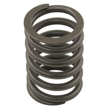 Valve Spring for Ford 461128