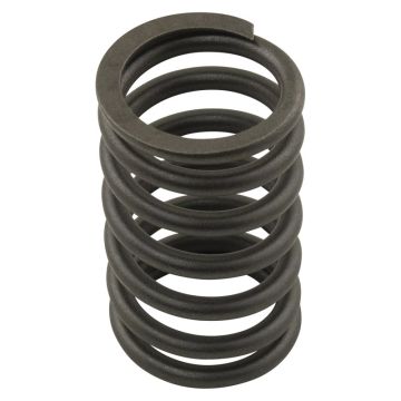 Valve Spring for Ford 461147