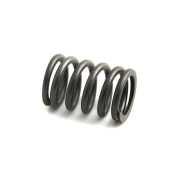 Valve Spring for Ford 501418