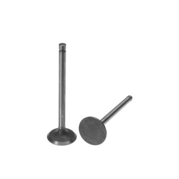 Exhaust Valve for Ford C3AZ6505