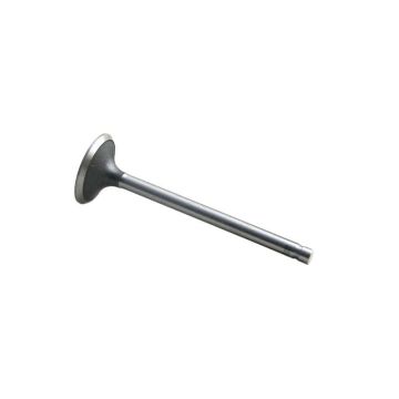 Intake Valve for Ford, New Holland C5NN6507E