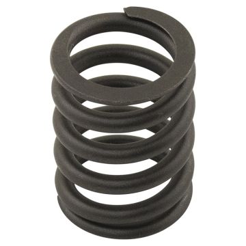 Valve Spring for Ford D1FZ6513D