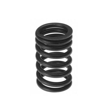 Intake & Exhaust Valve Spring for Ford EAA6513A
