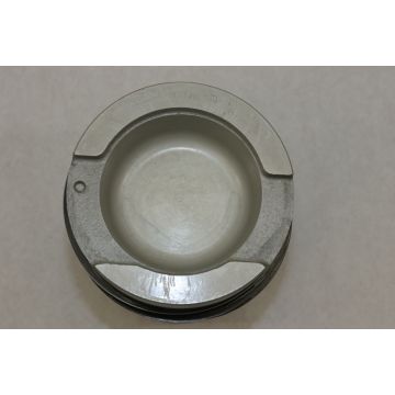 Piston Kit (STD) for Ford, New Holland 161179