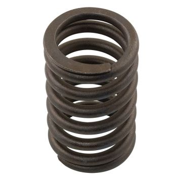 Caterpillar Spring, Valve, Outer 4W2471