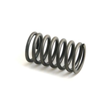 Valve Spring for David Brown K921435