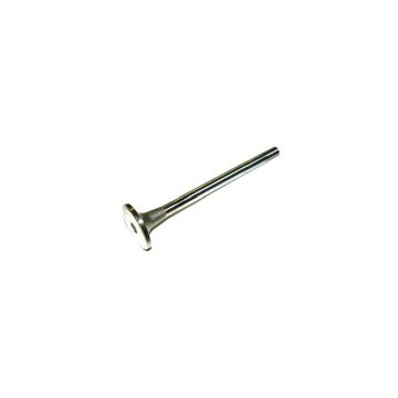 Exhaust Valve for Case 3895110