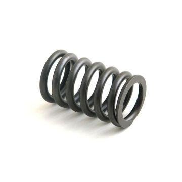 Valve Spring for Cummins, Case 3900276