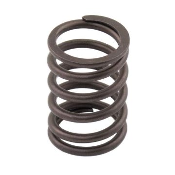 Valve Spring for Perkins 198216700