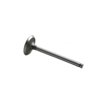 Intake Valve for Massey Ferguson 31431154