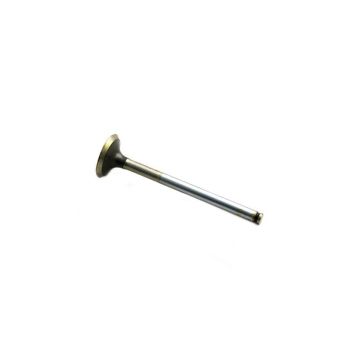 Exhaust Valve for Massey Ferguson 31431385
