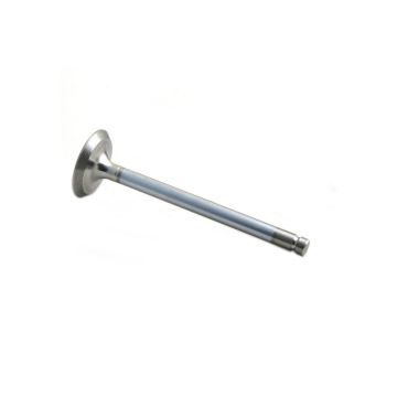 Exhaust Valve for Perkins 31431671