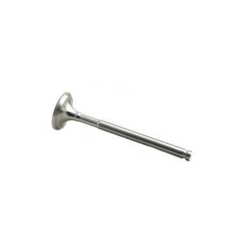 Exhaust Valve for Allis Chalmers 31431731