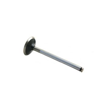 Intake Valve for Massey Ferguson 31431822