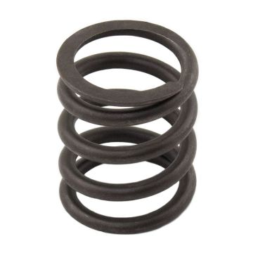 Valve Spring for Perkins 3174P412