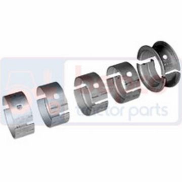 Main Bearing Set for International 106592