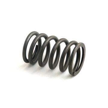 Intake & Exhaust Valve Spring for John Deere R49571