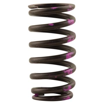 Valve Spring for John Deere R528300