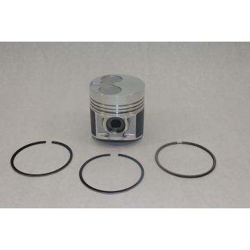 Piston & Rings for Shibaura, Caterpillar 115017581