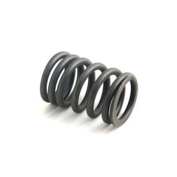Valve Spring for Hercules 401022802