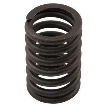 Valve Spring for Hercules 402091313