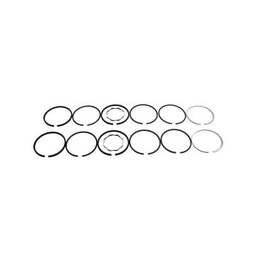 Piston Ring Set for John Deere 1724014