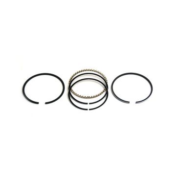 Piston Ring Set for Case 181456