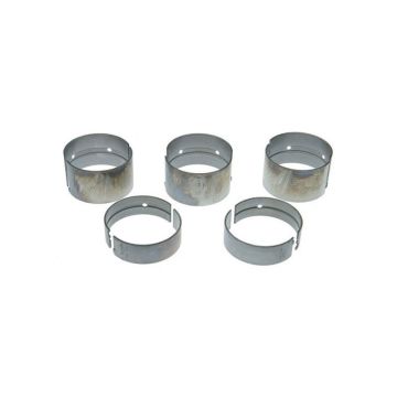 Main Bearing Set for Case MBKC3361020