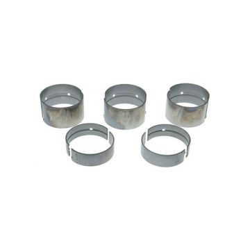 Main Bearing Set for Case 106128