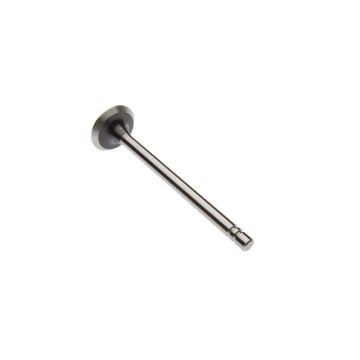 Intake Valve for Waukesha 106096A