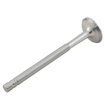 Exhaust Valve for Waukesha 155889A