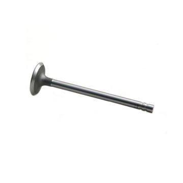 Intake Valve for Waukesha 158797A