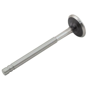 Exhaust Valve for Waukesha 169431A