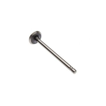 Intake Valve for Waukesha 180036A