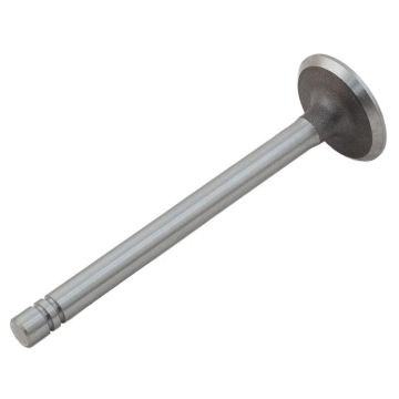 Intake Valve for Waukesha 180336