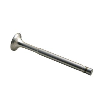 Exhaust Valve for Waukesha 186336A