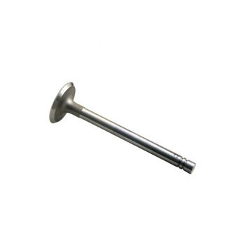 Intake Valve for Waukesha 190236A