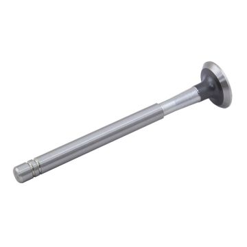 Exhaust Valve for Waukesha 1M197