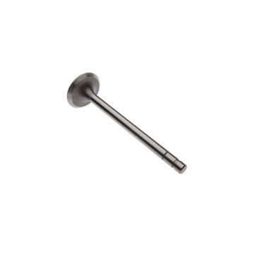 Intake Valve for Waukesha 222436B